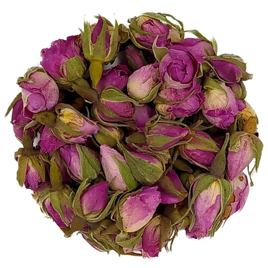 Boutons de rose (Rosa x centifolia)