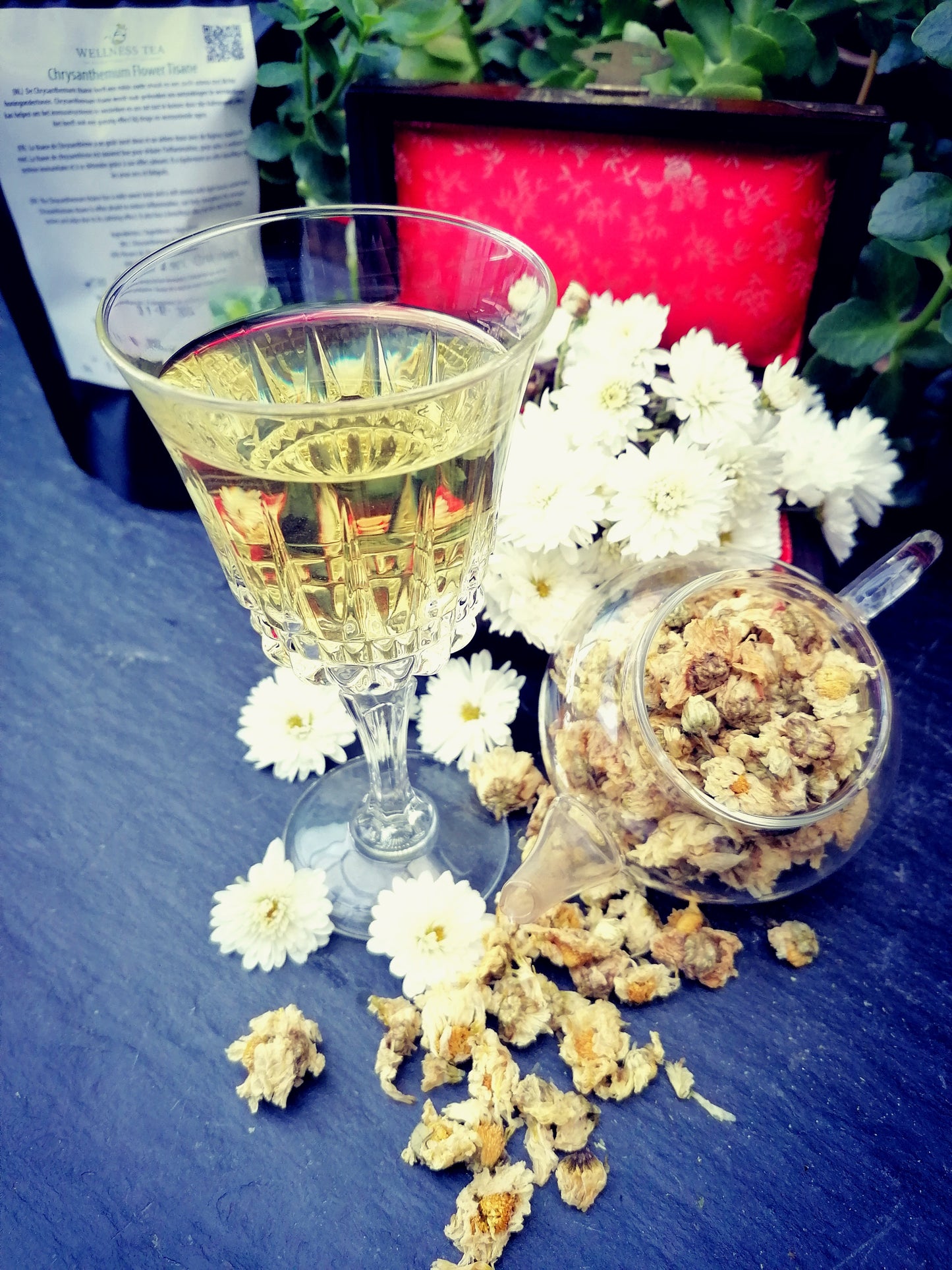 Tisane aux fleurs de chrysanthème