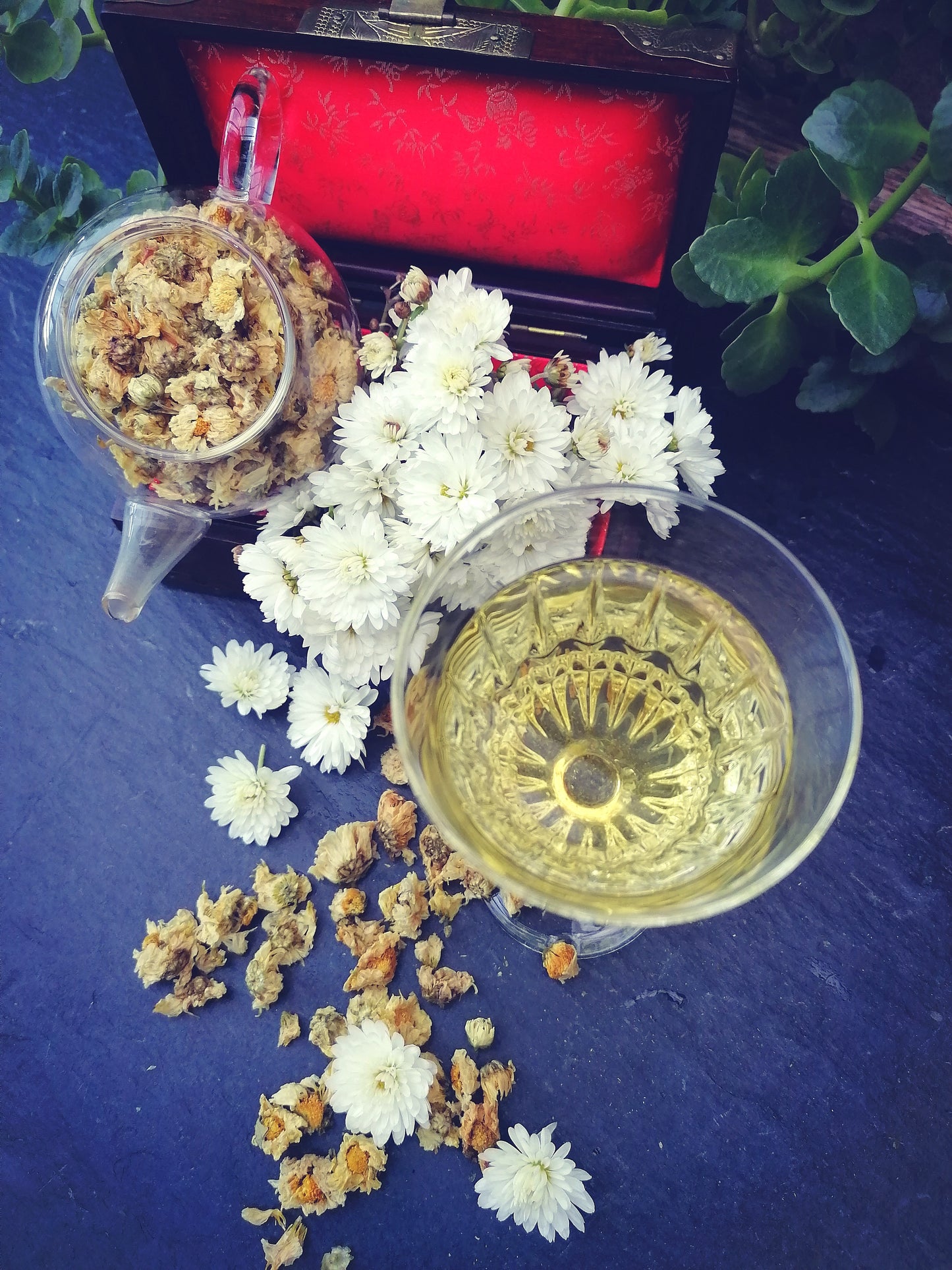 Tisane aux fleurs de chrysanthème