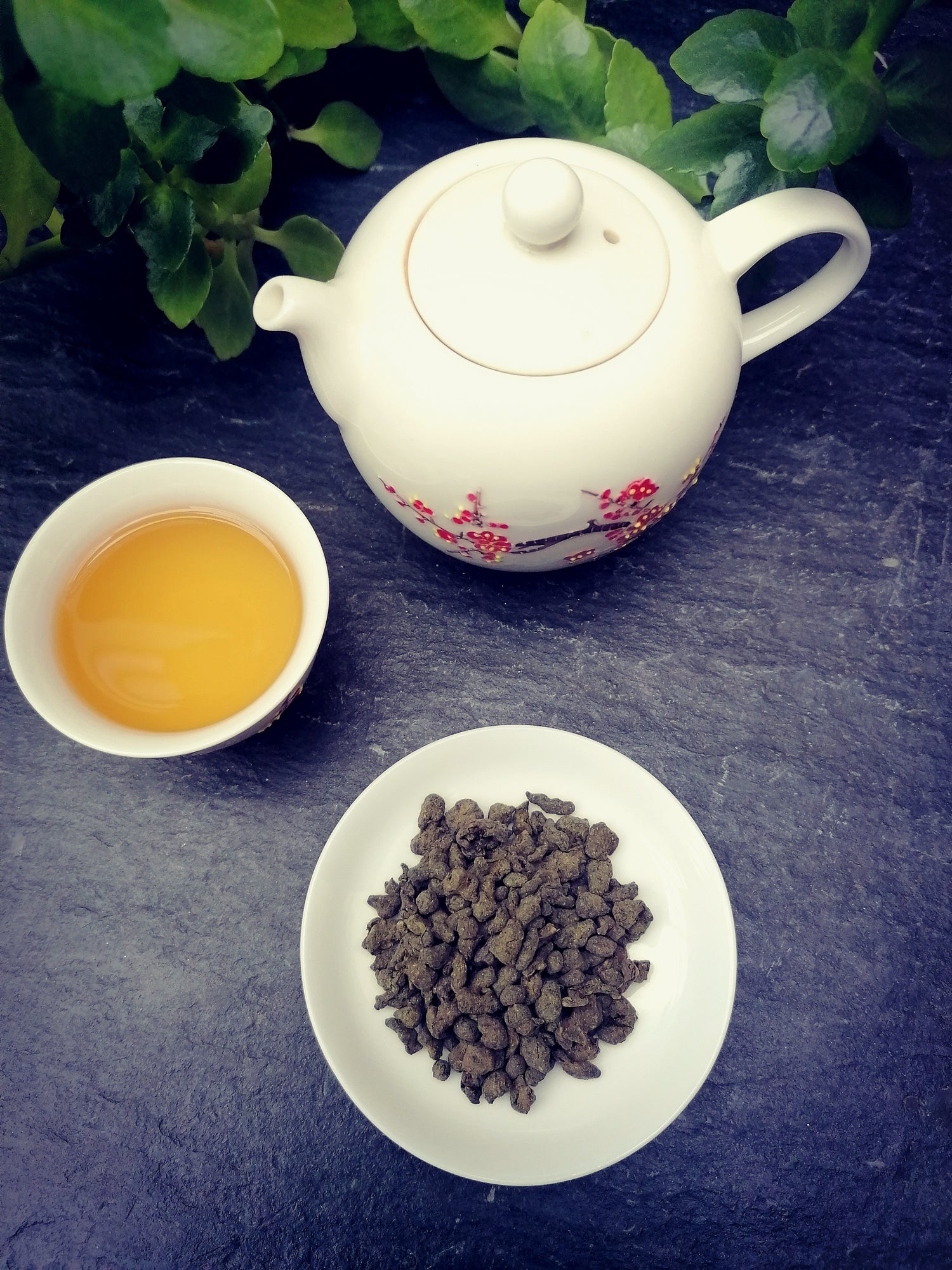 Ginseng Oolong with Teapot and Tea