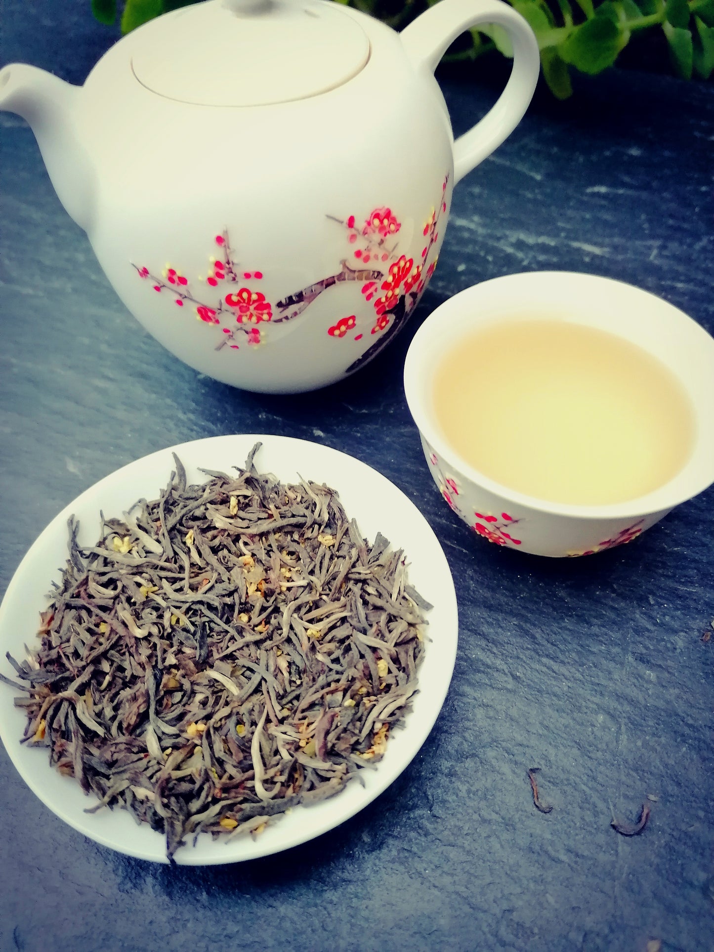 Gui Hua Sweet Osmanthus Tea with Teapot and Tea liquor