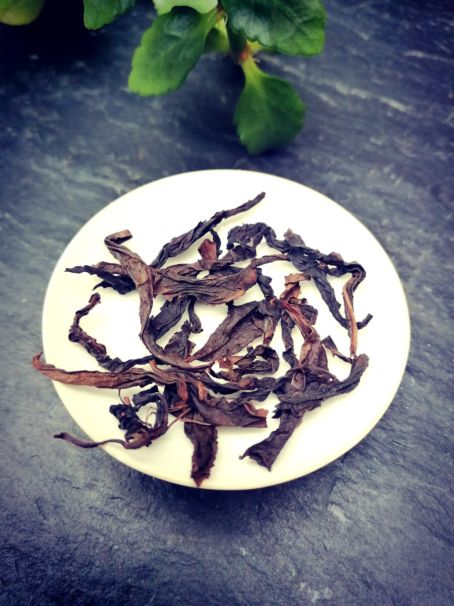 Rou Gui Wuyi Rock Oolong Tea | "Cinnamon Bark" Wuyi Yancha Oolong Tea